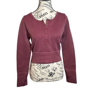 Aerie Mauve Waffle Knit Crop Top